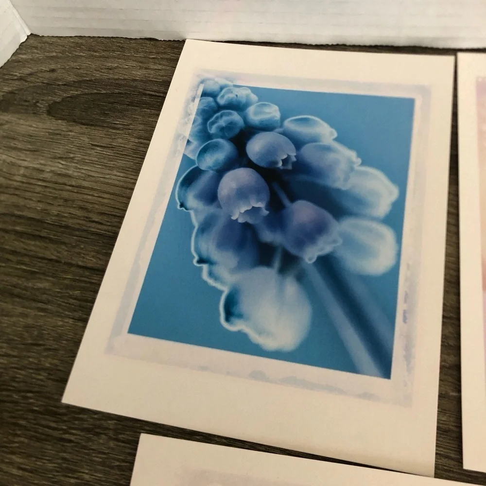Vtg IKEA Floral Art Cards - Picture 8 of 11